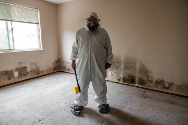 Best Black Mold Removal  in Goulds, FL